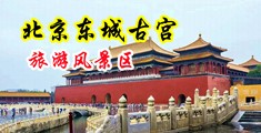爱就操屄中国北京-东城古宫旅游风景区
