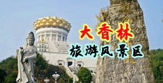 插入逼逼大鸡巴视频中国浙江-绍兴大香林旅游风景区