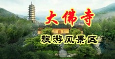 男人的大鸡巴搞女人批里视频黄片免费中国浙江-新昌大佛寺旅游风景区
